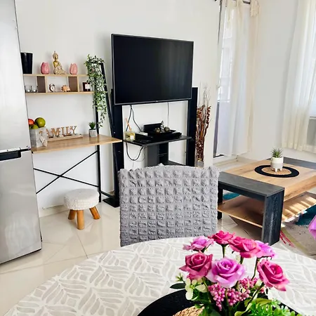 Cozy 1bd 公寓